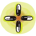 Providing Medically Assisted Treatment (MAT) for Opioid Abuse icon